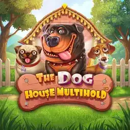 The Dog House Multihold game at RollXO Casino for Australia players